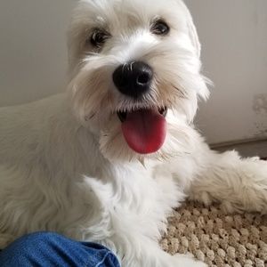 Meet your Posher, Daniela